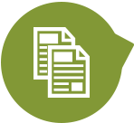icon-pagespeed